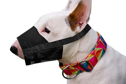 Dingo Waldemar Rutkowski Adjustable Nylon Muzzle Breathable Mesh for Small Breeds, Puppy, Parson Russell, Pinscher, Miniature Schnauzer, S Black 16774-2