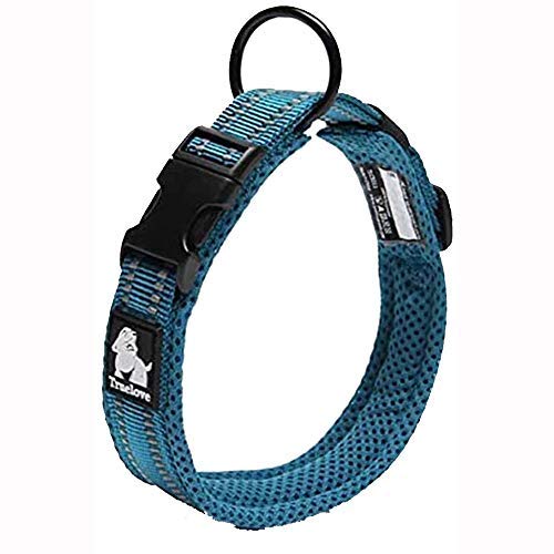 WINHYEPET True Love Dog Collar Reflective Sandwich lining Nylon Webbing Comfortable and Safe Adjustable Buckle convenient used for walking for Samll/Medium/Large neck ring TLC5011(Blue,L)