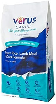 saint bernard shelter