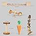 Hamster Chew Toys, Natural Wooden Pine Guinea Pigs Rats Chinchillas Toys Accessories Dumbells Exercise Bell Roller Teeth Care Molar Toy for Birds Bunny Rabbits Gerbils