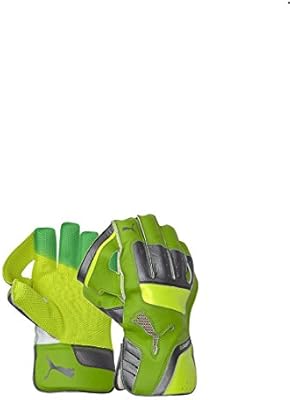 puma evo 2 wicket keeping gloves