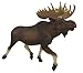 Safari Ltd Wildlife Wonders Moose