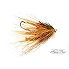 Steelhead-Fly-Fishing-Flies-Assortment-6-Aqua-Flies-3-Motion-Prawns-1-Electric-Leech-2-Mini-Intruders-1-Each-of-6-Essential-Steelhead-Color-Flies-Fishing-Fly-Collection-with-Fly-Box