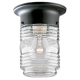 Westinghouse Lighting 6691900 One-Light Jelly Jar Porch-Light