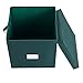 Storage Ornament Box - Holiday Organizer Cube with 64 Individual Compartments and Adjustable Dividers - For Christmas Decorations by Elf Stor (Green)