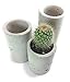 Concrete Succulent Planters / Air Plant Holders. Urba Planters. (set of 3) Natural gray.