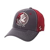 NCAA Florida State Seminoles Boys Youth Grid