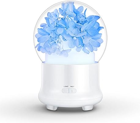 Amazon Com Qihang Electric Aromatherapy Ultrasonic Humidifier Essential Oil Aroma Diffuser Led Mist Maker Fogger Mini Portable Car Air Humidifier Blue Pink Color Blue Home Kitchen