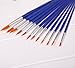 Ishua 12pcs Nylon Hair Watercolor Oil Painting Brush Set Artist Paintbrush with Blue Plastic Handle