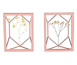 superbpag 4 x 6 Inch Rose Gold Picture Frame Photo Display for Desk or Wall, Set of 2