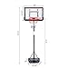 PEXMOR Basketball Hoop Portable Adjustable Height Poolside Basketball Stand System for Youth Kids Teenagers Indoor Outdoor with 32