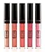 beauty my way 5 PCS LIP GLOSS GIFT SET PROFESSIONAL HIGH SHINE SHIMMERING MUST HAVE SHADES