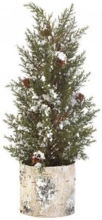 Birch Tree Pine Sprig Topiary