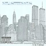 Beastie Boys Album: «TO THE 5 BOROUGHS» (Front side) Beastie Boys Album: «TO THE 5 BOROUGHS» (Front side)