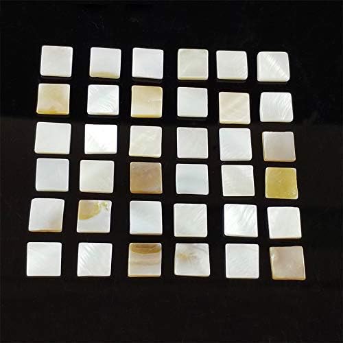 Natural Shell Pieces Bulk Mosaic Tiles for DIY Crafts Decoration Seashell 1.5 cm(0.59 inch) 320 Pcs for Home Decoration Living Room Background Wall and Kitchen