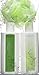 Vitabath Original Spring Green Everyday Set