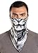 Neoprene Ski Mask - Tactical Winter Face Mask - Perfect for Skiing, Snowboarding & Motorcycling (Lion)