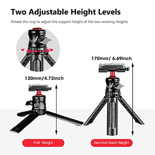 Manbily Mini Phone Camera Tripod Stand with Removable Ball Head & Cellphone Holder,Portable Handheld Grip Desktop Tabletop Small Vlog Tripod Mount for DSLR Camera/iPhone/Webcam (MT-07)