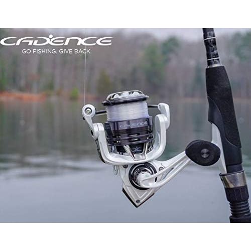 cadence cc4 spinning combo