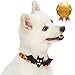 Blueberry Pet 2019 New 8 Patterns Halloween Night Bats Designer Adjustable Dog Collar with Detachable Decoration, Medium, Neck 14.5″-20″thumb 3