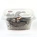 WOHO South America Wild Caught Medium Size Sea Cucumber - 8 Oz