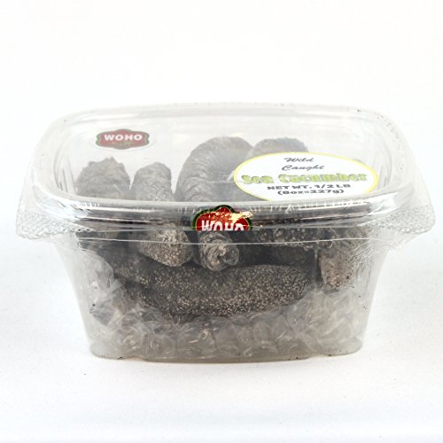 WOHO South America Wild Caught Medium Size Sea Cucumber - 8 Oz