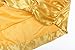 ReliBeauty Little Girls Princess Belle Costume Sleeveless Layered Dress up, Yellow, 6X
