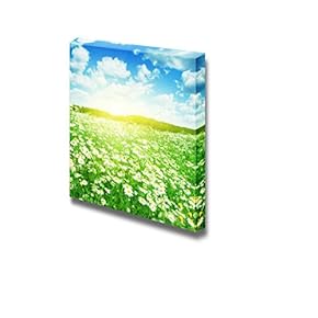 Beautiful Scenery Landscape with Daisies on a Sunny...