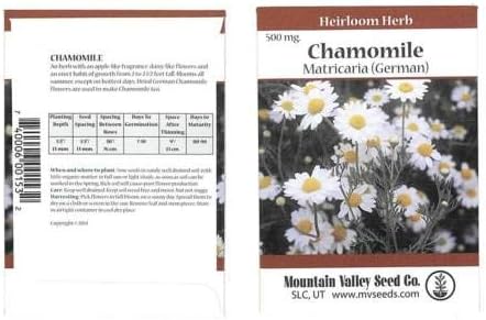 German Chamomile HERB Garden Seeds - 500 mg Packet - Non-GMO, Heirloom Herbal
