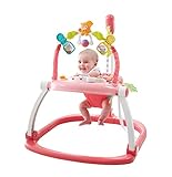 Fisher-Price Floral Confetti SpaceSaver Jumperoo