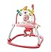 Fisher-Price Floral Confetti SpaceSaver Jumperoo