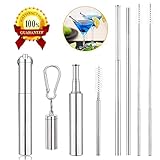 GoWorth 10.5-Inch Stainless Steel Bent and Straight Drinking Straws with 2 Cleaning Brushes (Set of 8)