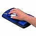 Fellowes Gel Wrist Rest and Mouse Rest, Sapphire/Black (98741)