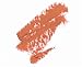 Ecco Bella FlowerColor Lipstick, Peach Rose .13 Ounce