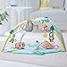 Skip Hop Baby Play Gym with Soother, Tropical Paradise, Green