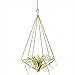 Mkono Hanging Air Plant Holder Modern Geometric Planter with Chain Tillandisia Container Himmeli Wall Decor, Gold, 2 Packs