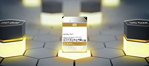 WD Gold 4TB Enterprise Class Hard Disk Drive - 7200 RPM Class SATA 6 Gb/s 128MB Cache 3.5 Inch - WD4002FYYZ