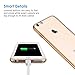 JETech Case for iPhone 6 Plus and iPhone 6s Plus 5.5-Inch, Non-Yellowing Shockproof Phone Bumper Cover, Anti-Scratch Clear Back (Gold)