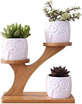 SweetLifeIdea Ceramic Garden Decor Planter Owl Shaped Flower Pot Cactus Succulents Plant Pot w/ Bamboo Shelf