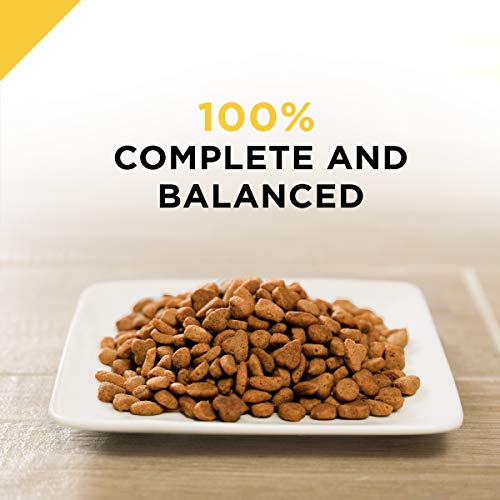 Purina Pro Plan Senior Cat Food, Chicken & Rice - Image 3