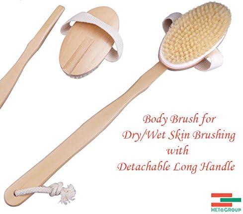 Bath Body Brush for Wet or Dry Skin Brushing with Natural Bristle to Remove Cellulite. Bristle Bath Brush is for Body Benefits