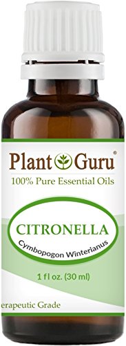 Citronella Essential Oil 30 ml. (1 oz.) 100% Pure Undiluted Therapeutic Grade. Citronella Essential Oil 30 ml. (1 oz.) 100% Pure Undiluted Therapeutic Grade.