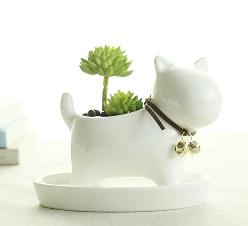 Youfui Cute Succulent Planter Animal Shaped Flower Pot Decor for Home Office Desk (Dog)