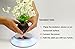 LED Floating Bonsai Pot - Magnetic Suspension Levitating Air Bonsai Pot for Home Office Decoration -Creative Design levitation Bonsai