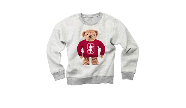 teddy bear sweater amazon