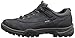 ECCO Men's Torre GTX Hiking Shoe