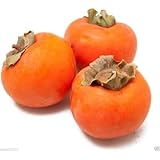 Japanese Persimmon,(25 Seed ) Asian Persimmons(Diospyros kaki-Fuyu) Tree Shrub