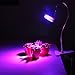 Desk Clip Plant Grow Light with 360° Flexible Gooseneck and Spring Clamp