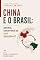 Livro China e o Brasil: parceria, concorrência ou nova dependência? (Economia em Foco Livro 2)