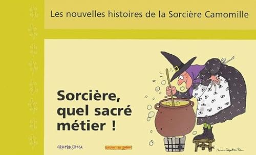 Download Sorcière, quel sacré métier ! PDF